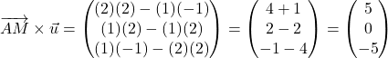 \[\overrightarrow{AM} \times \vec{u} = \begin{pmatrix} (2)(2) - (1)(-1) \\ (1)(2) - (1)(2) \\ (1)(-1) - (2)(2) \end{pmatrix} = \begin{pmatrix} 4 + 1 \\ 2 - 2 \\ -1 - 4 \end{pmatrix} = \begin{pmatrix} 5 \\ 0 \\ -5 \end{pmatrix}\]