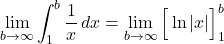 \[\lim_{b \to \infty} \int_1^b \frac{1}{x} \, dx = \lim_{b \to \infty} \Big[ \ln|x| \Big]_1^b\]