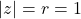 |z| = r = 1
