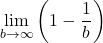 \[\lim_{b \to \infty} \left( 1 - \frac{1}{b} \right)\]