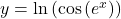 y = \ln\left(\cos\left(e^x\right)\right)